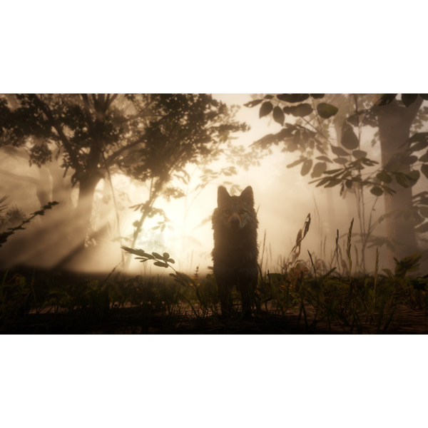 Игра для PlayStation 4 Red Dead Redemption 2 Фото 12