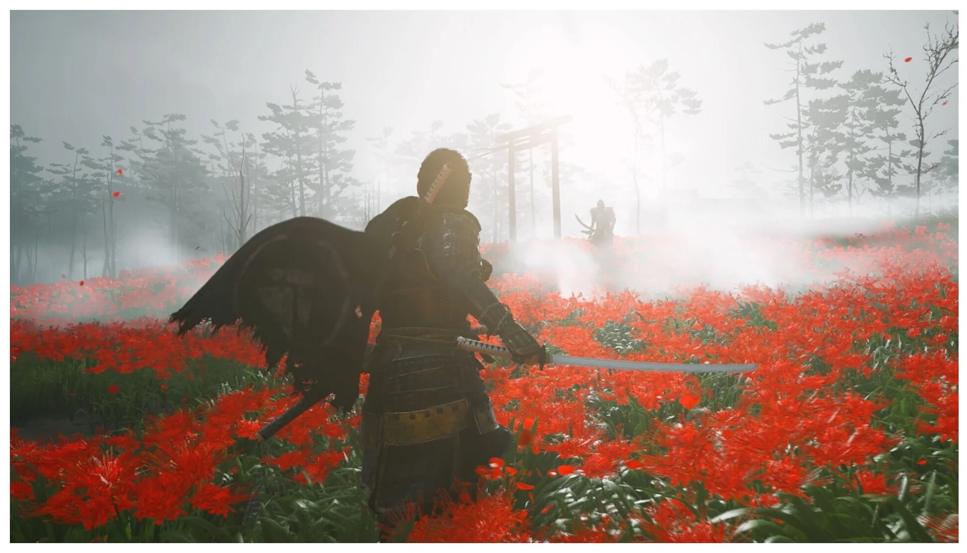 Игра Призрак Цусимы Director's Cut для PlayStation 5 Фото 1