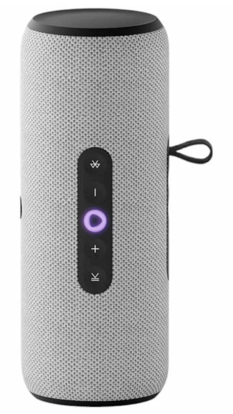 Умная портативная колонка Яндекс Станция Стрит с Алисой, серый Фото 1