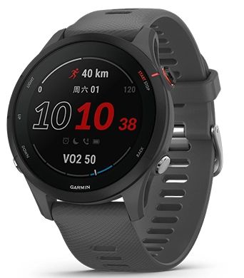 Смарт-часы  Garmin Forerunner 255, Slate Grey (010-02641-41) Фото 1