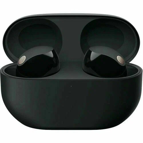 Наушники Sony WF-1000XM5, черный Фото 0