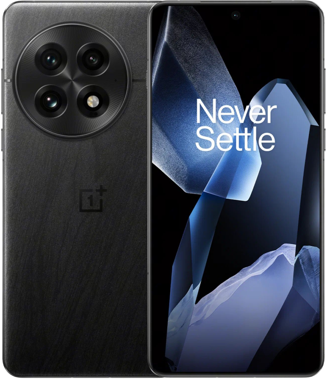 Смартфон OnePlus 13 16/512 Гб, черный (Black Eclipse) Фото 0