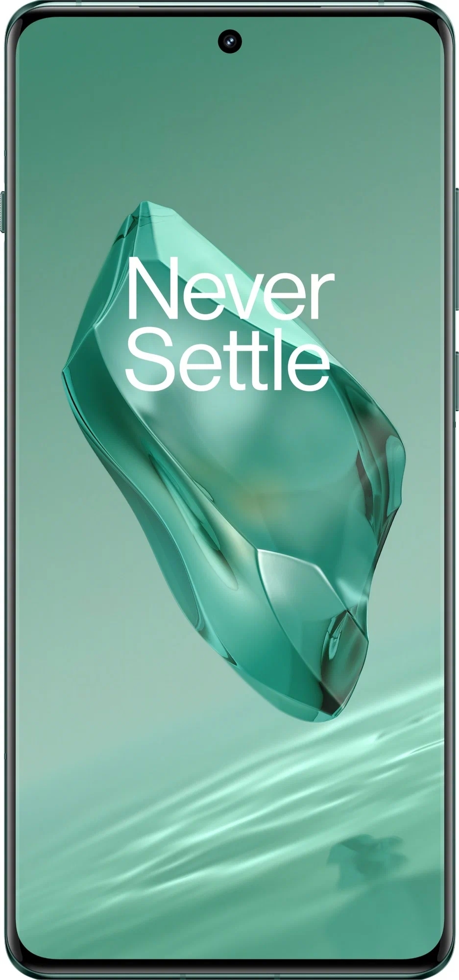 Смартфон OnePlus 12 12/256 ГБ, зеленый Фото 1