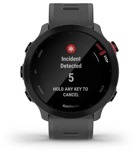 Смарт-часы  Garmin Forerunner 55, серый (010-02562-13) Фото 3