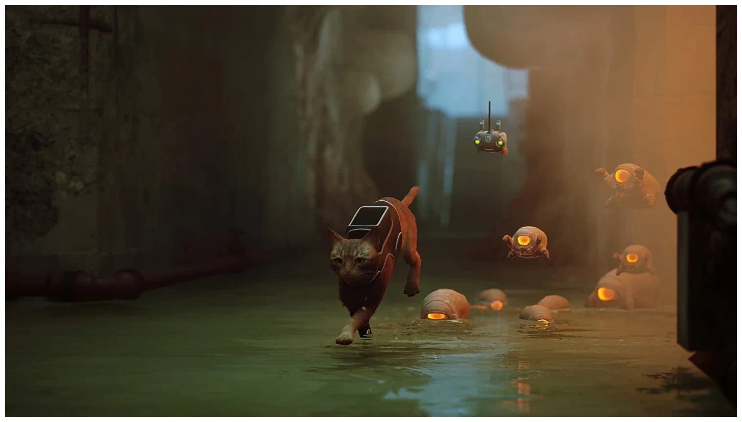 Игра Stray [PS5, русская версия] Фото 2