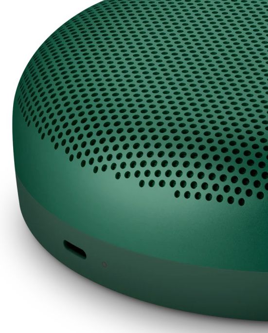 Портативная колонка Bang & Olufsen Beosound A1 2nd Gen, зеленый Фото 6