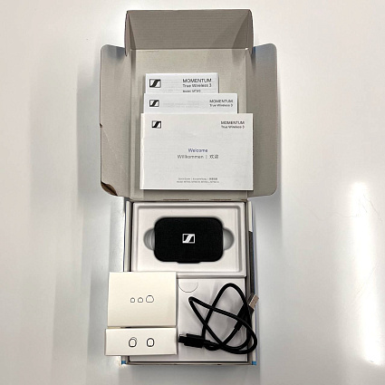 Беспроводные наушники Sennheiser Momentum True Wireless 3, черный Фото 4