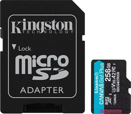 Карта памяти Kingston Canvas Go! Plus MicroSDXC 256Гб + адаптер, (SDCG4/256Гб) Фото 2
