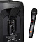 Комплект микрофонов JBL Wireless Microphone Set, черный Фото 5