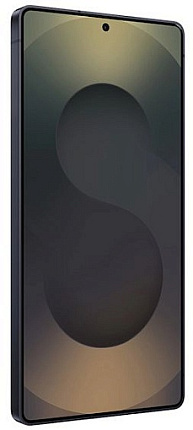 Смартфон Samsung Galaxy S25 Ultra 12/256Гб, Jetblack (SM-S938B/DS) Фото 2