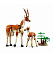 Конструктор LEGO Wild Safari Animals 3 в 1 (31150) Фото 5