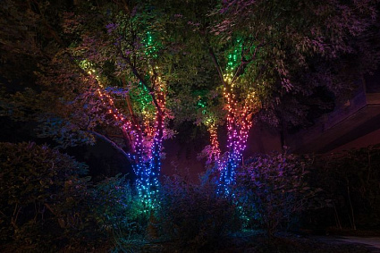 Гирлянда Twinkly Strings, 400 LED, RГБ+W, Wi-Fi Фото 3