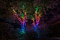 Гирлянда Twinkly Strings, 400 LED, RГБ+W, Wi-Fi Фото 3