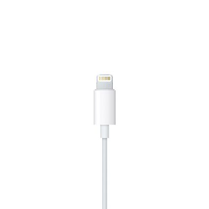 Наушники Apple EarPods с разъёмом Lightning (MMTN2ZM/MWTY3) Фото 5