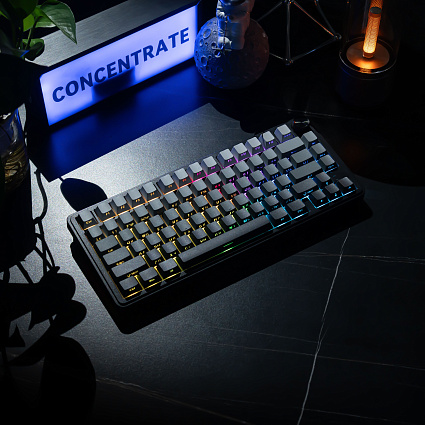 Беспроводная клавиатура CyberLynx RX75, Panda Silent Switch, серый Фото 3