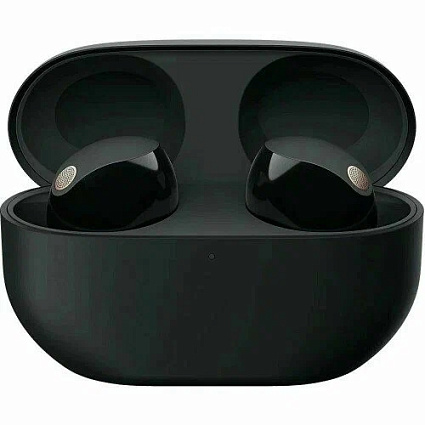 Наушники Sony WF-1000XM5, черный Фото 1