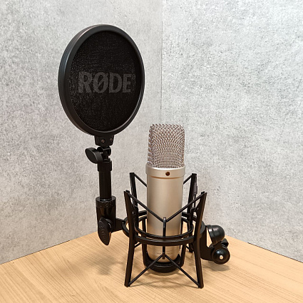Микрофон RODE NT1 Gen 5, серебристый Фото 3