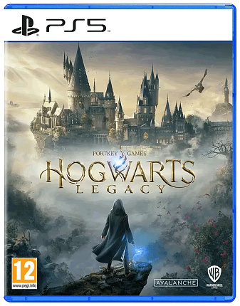 Игра Hogwarts Legacy (Хогвартс. Наследие) для PlayStation 5 Фото 1