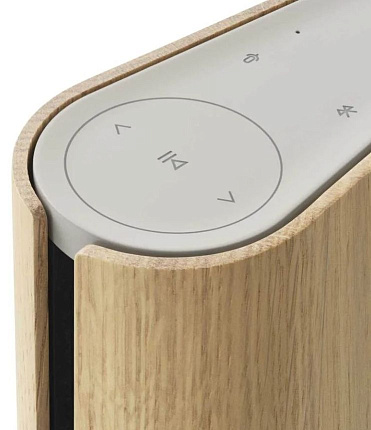 Портативная акустика Bang & Olufsen Beosound Emerge, Gold Tone Фото 5