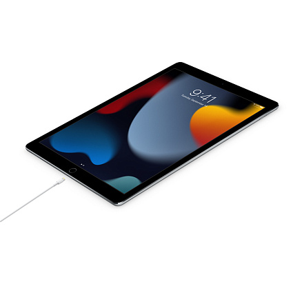 USB-C to Lightning Cable (1 m) MM0A3AM Фото 2