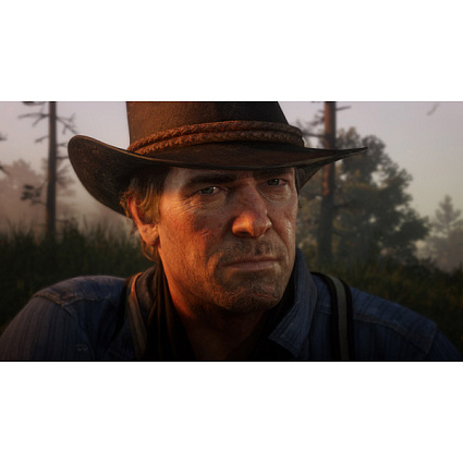 Игра для PlayStation 4 Red Dead Redemption 2 Фото 4