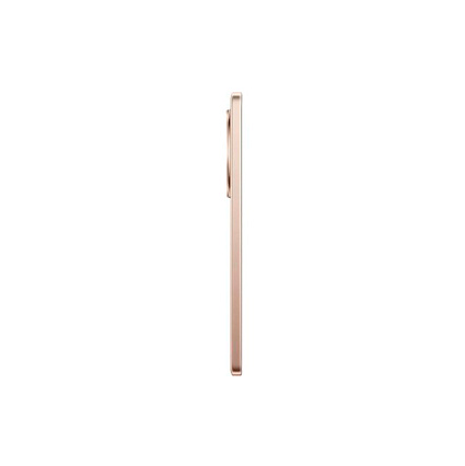 Смартфон Realme 13+ SIM + eSIM, 8 Гб RAM, 256 Гб, золотой (RU) Фото 9