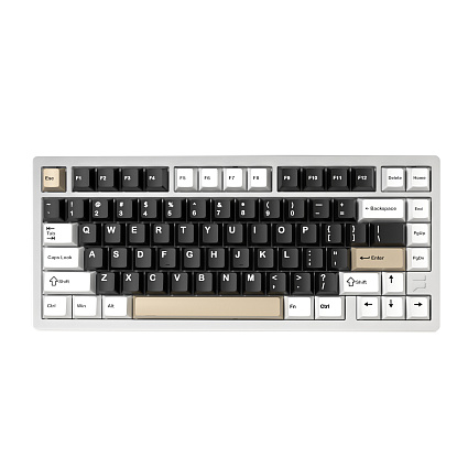 Беспроводная клавиатура CyberLynx F75 SE ENG, Platinum Switch, серебристый Фото 1