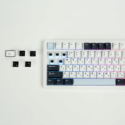 Беспроводная клавиатура CyberLynx RX75, Panda Silent Switch, белый Фото 6