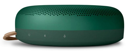 Портативная колонка Bang & Olufsen Beosound A1 2nd Gen, зеленый Фото 3