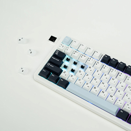 Беспроводная клавиатура CyberLynx RX75, Panda Silent Switch, белый Фото 5