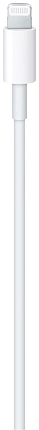 Кабель Apple USB-С-Lightning (2м), белый (MW2R3ZM/A) Фото 2