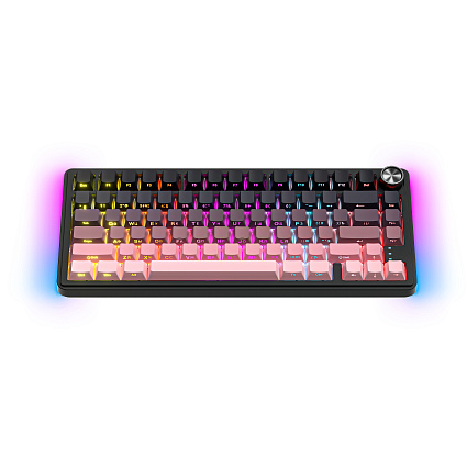 Беспроводная клавиатура CyberLynx RX75, Panda Silent Switch, розовый Фото 3