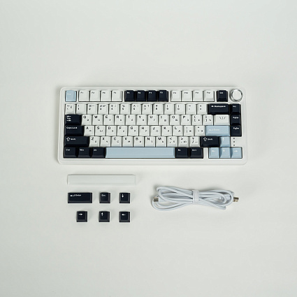 Беспроводная клавиатура CyberLynx RX75, Panda Silent Switch, белый Фото 9