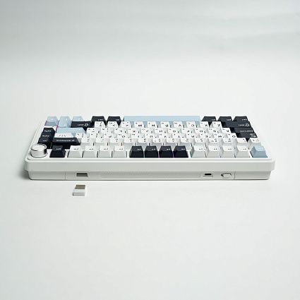 Беспроводная клавиатура CyberLynx RX75, Flow Blue Switch, белый Фото 4
