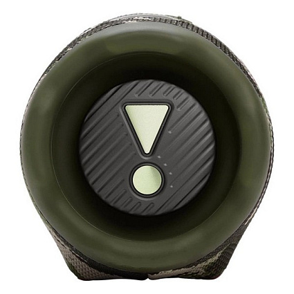 Портативная акустика JBL Charge 6, хаки (squad) Фото 5