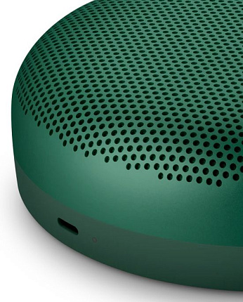 Портативная колонка Bang & Olufsen Beosound A1 2nd Gen, зеленый Фото 7