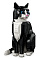 Конструктор LEGO Tuxedo Cat 21349 Фото 6