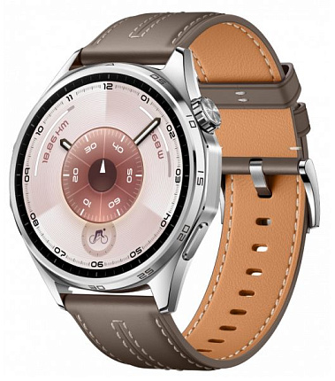 Смарт-часы Huawei Watch GT 6 46 мм, серый (55020FWE) Фото 1