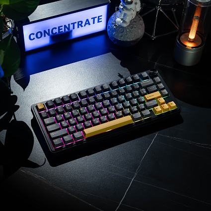 Беспроводная клавиатура CyberLynx RX75, Panda Silent Switch, черный Фото 4